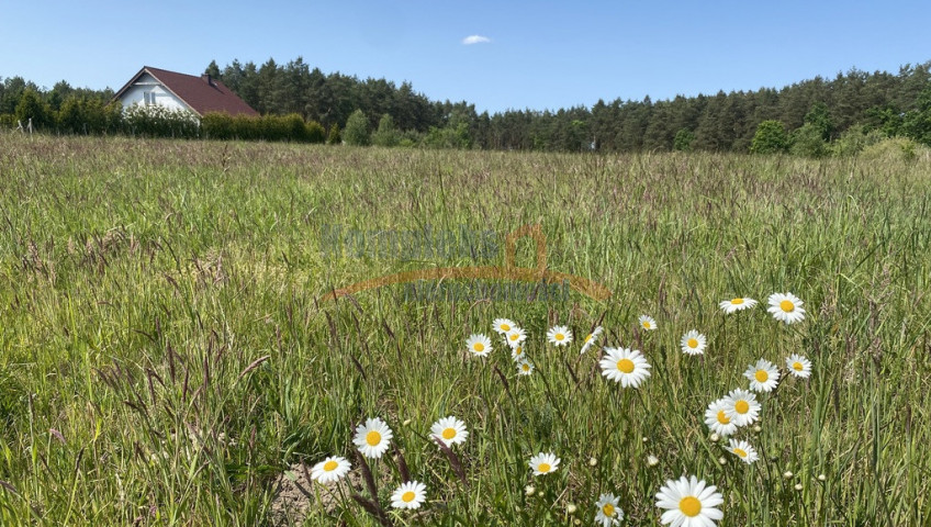 Działka Sprzedaż Przybiernów