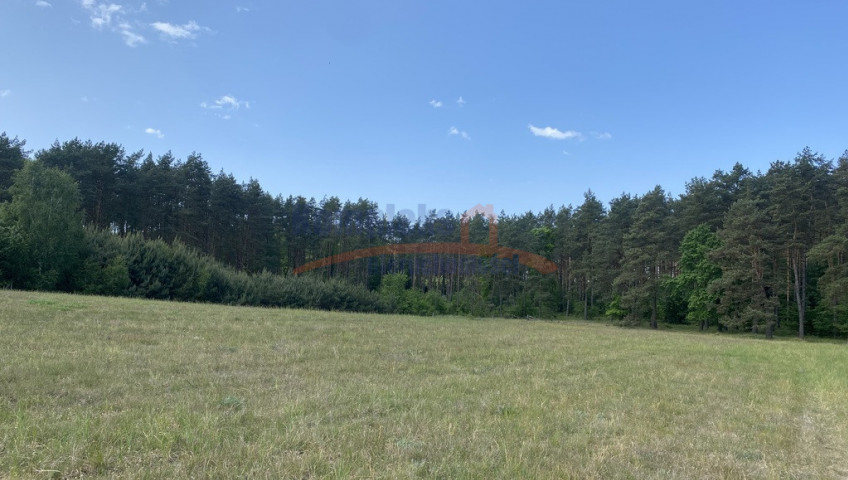 Działka Sprzedaż Przybiernów