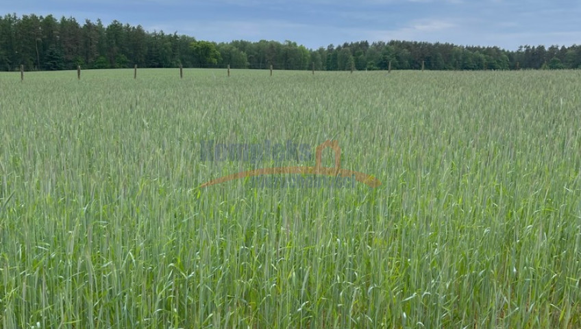 Działka Sprzedaż Chociwel