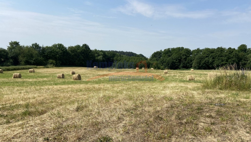 Działka Sprzedaż Glinna