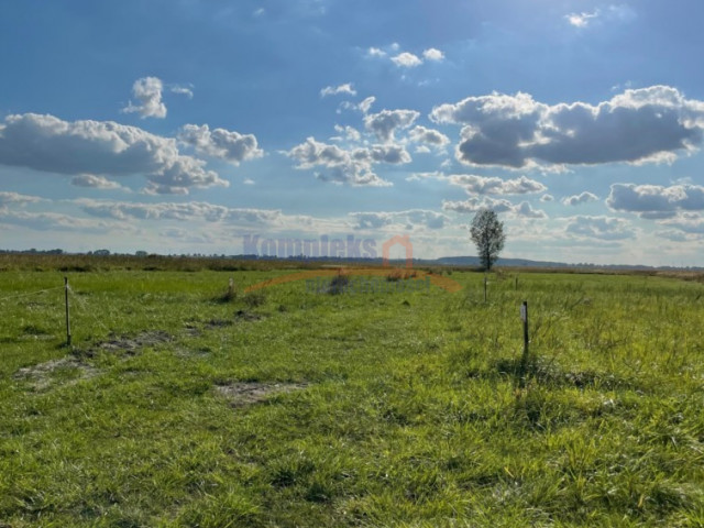 Działka Sprzedaż Wierzbno