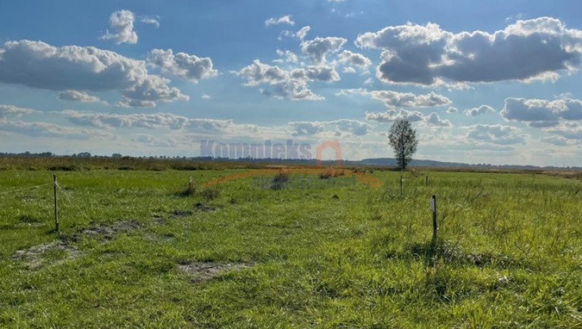 Działka Sprzedaż Wierzbno