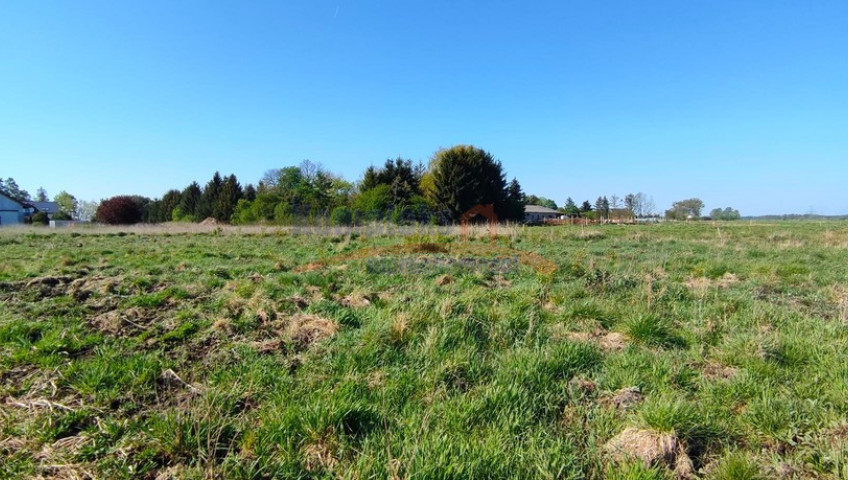 Działka Sprzedaż Modrzewie