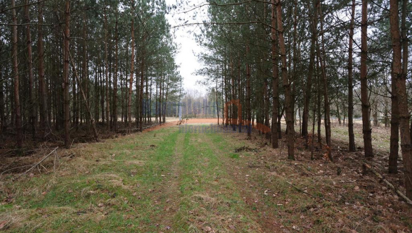 Działka Sprzedaż Krzywice