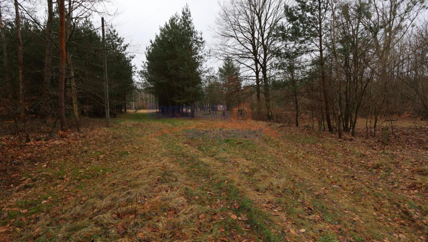 Działka Sprzedaż Krzywice