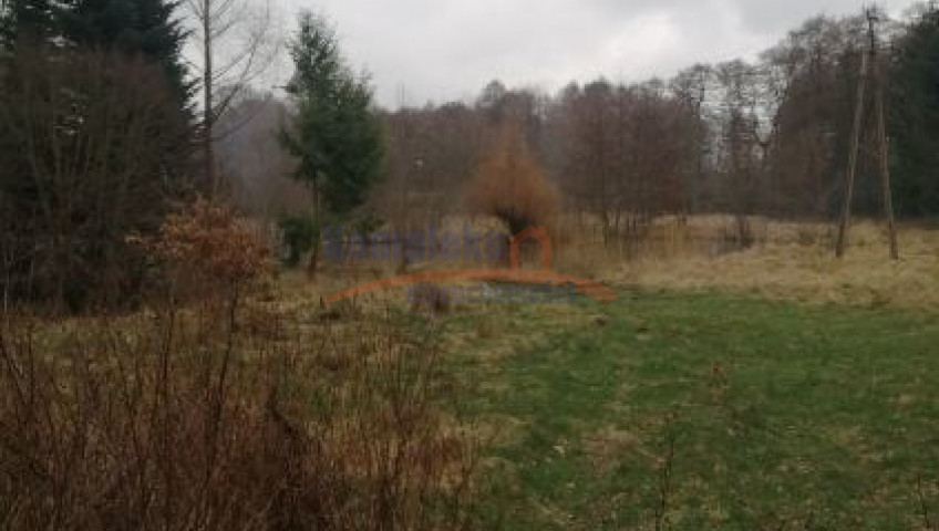 Działka Sprzedaż Stawno