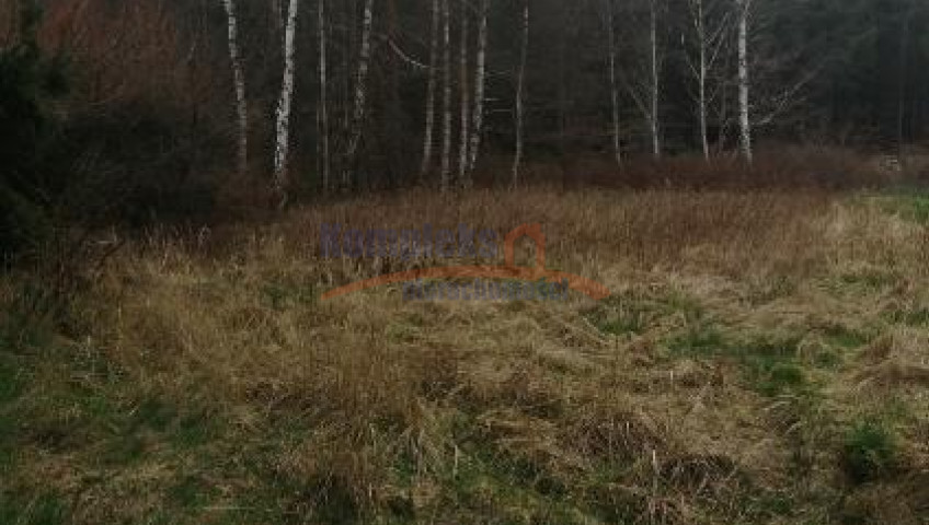 Działka Sprzedaż Stawno