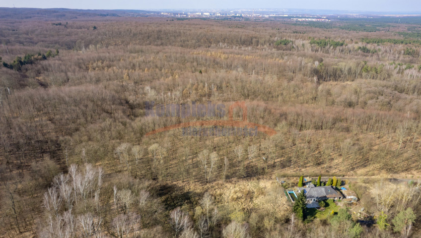Działka Sprzedaż Szczecin Płonia