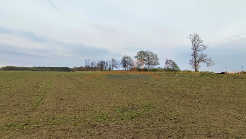 Działka Sprzedaż Lubczyna
