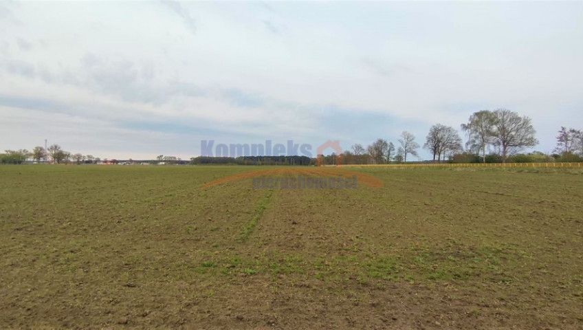 Działka Sprzedaż Lubczyna