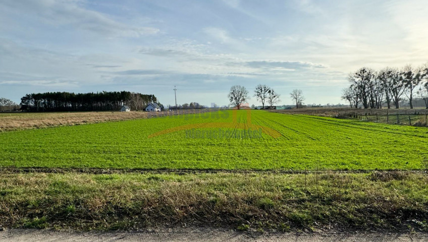 Działka Sprzedaż Borzysławiec