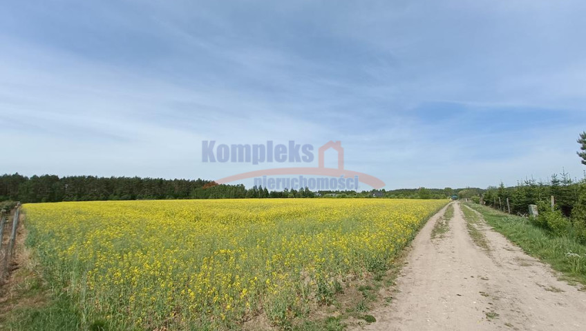 Działka Sprzedaż Stawno