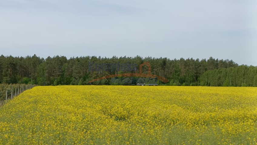 Działka Sprzedaż Stawno
