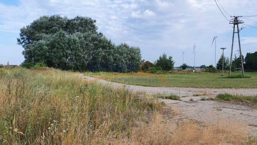 Działka Sprzedaż Kozielice