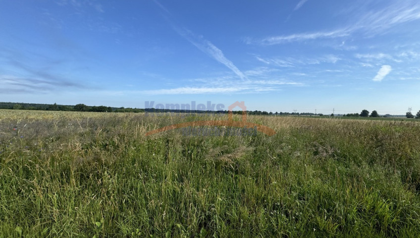 Działka Sprzedaż Goleniów